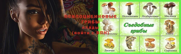 метадон Алексеевка