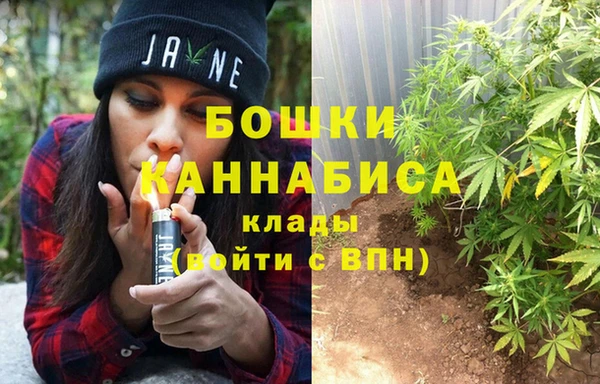 метадон Алексеевка