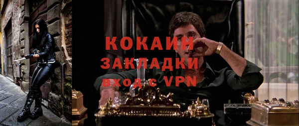 эйфоретик Алзамай